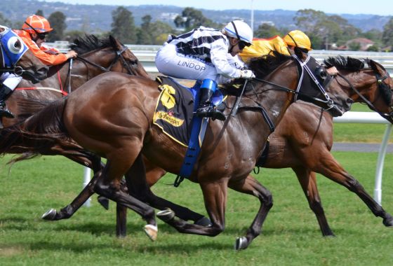 ブックメーカー